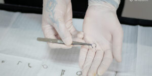Imagens do Curso Widom Body Piercing 2.0 | 04
