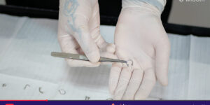 Imagem do Curso de Body Piercing Profissional da Widom 100