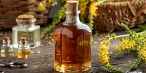 Como fazer Garrafada de Plantas Medicinais |10 Receitas de Garrafada e Suas Indicações Por Sintomas | Widom