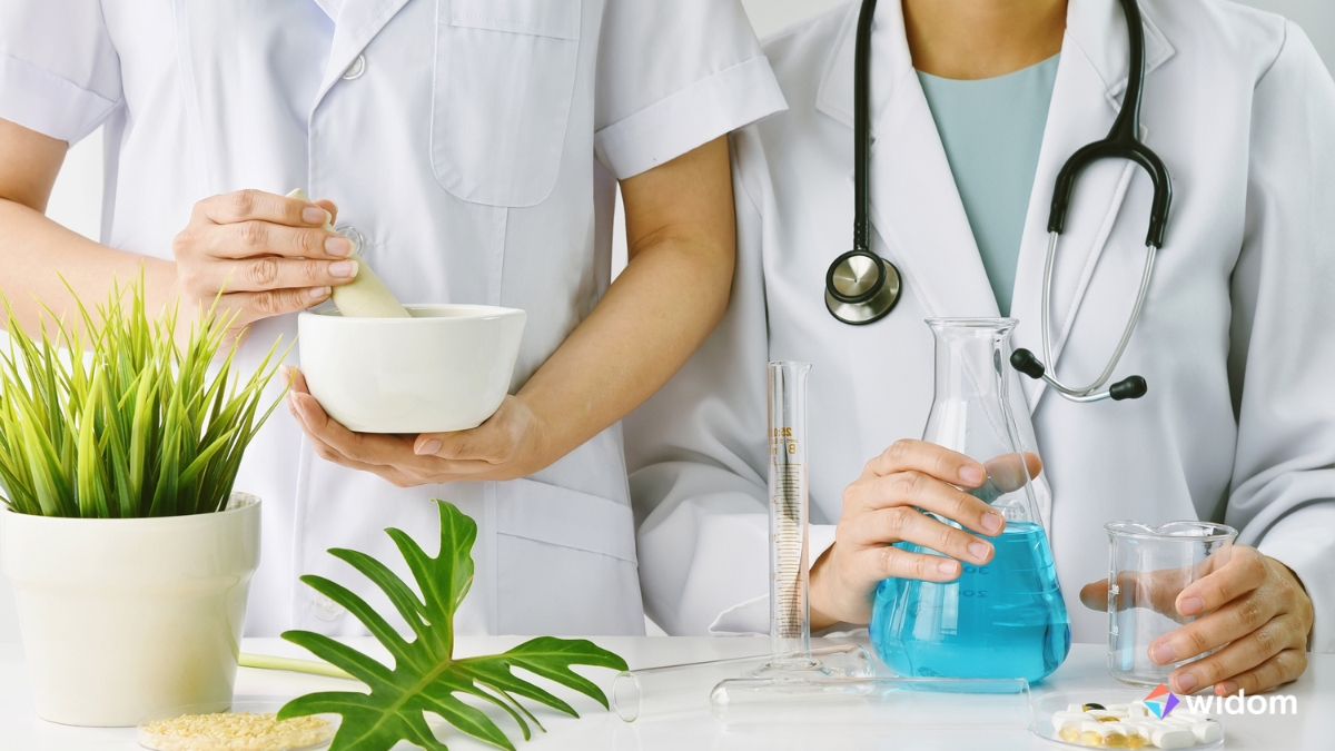 Fitoterapia no SUS | Widom