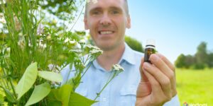 O que faz um Fitoterapeuta - Conhecimento e Práticas Terapêuticas com Plantas Medicinais | Widom