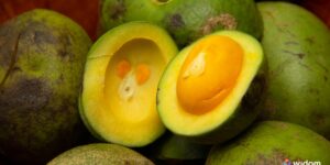Plantas Medicinais do Cerrado - Pequi | Widom