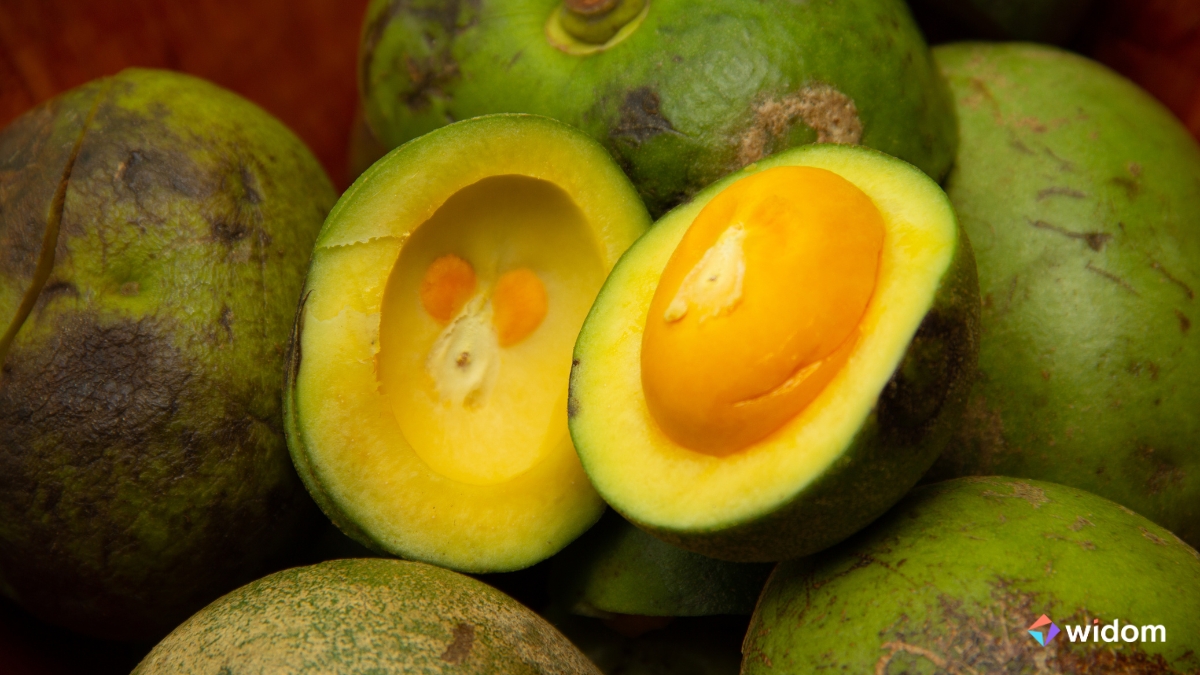 Plantas Medicinais do Cerrado - Pequi | Widom