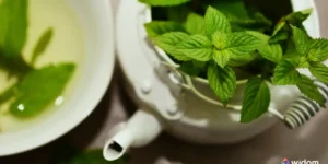Os Benefícios da Fitoterapia Para a Saúde e Bem-Estar | Widom