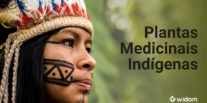 Plantas Medicinais Indígenas | Widom