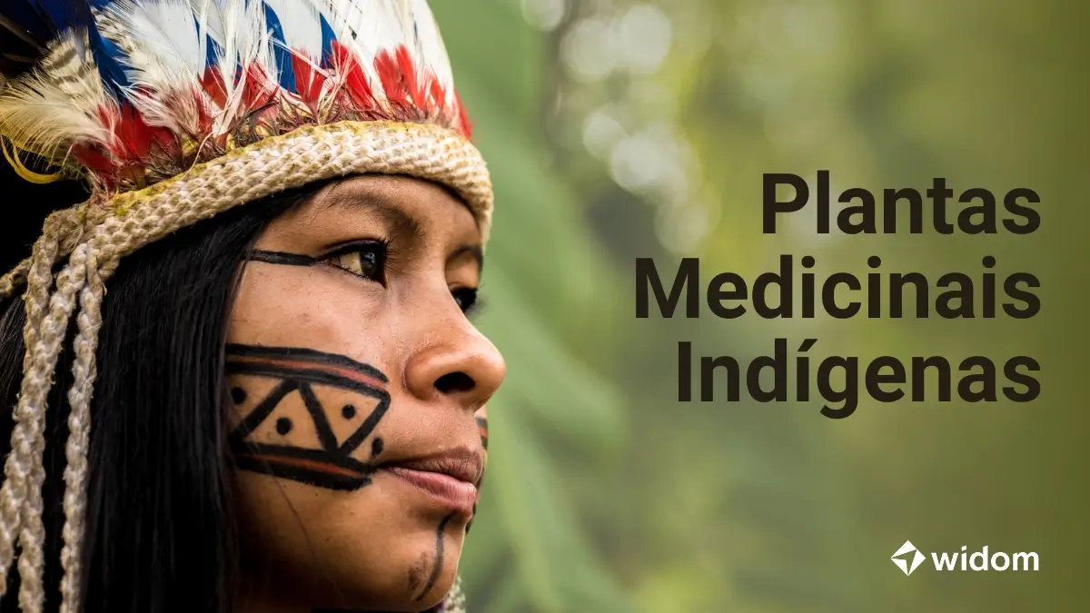 Plantas Medicinais Indígenas | Widom