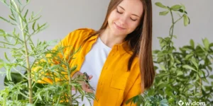 Calmante Natural Para Ansiedade - Lista Completa | Curso Widom Fitoterapia