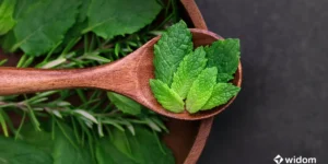 O Crescimento das Terapias Naturais e o Papel da Fitoterapia | Widom