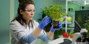 O que é Farmácia Viva - O Poder das Plantas Medicinais | Curso Widom Fitoterapia