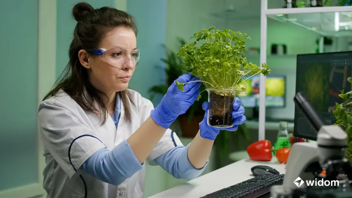 O que é Farmácia Viva - O Poder das Plantas Medicinais | Curso Widom Fitoterapia