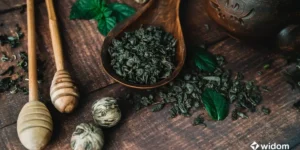 Verde que Cura - Os Segredos das Plantas Medicinais | Widom Fitoterapia