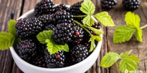 Remédio Caseiro Para Menopausa | Chá de Folhas Secas de Amora | Curso Widom Fitoterapia e Saúde Natural