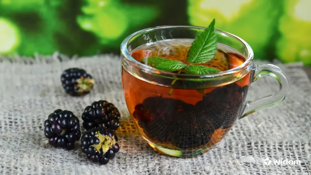 Chá de Amora é bom para quê | Widom Fitoterapia e Saúde Natural