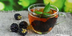 Chá de Amora é bom para quê | Widom Fitoterapia e Saúde Natural