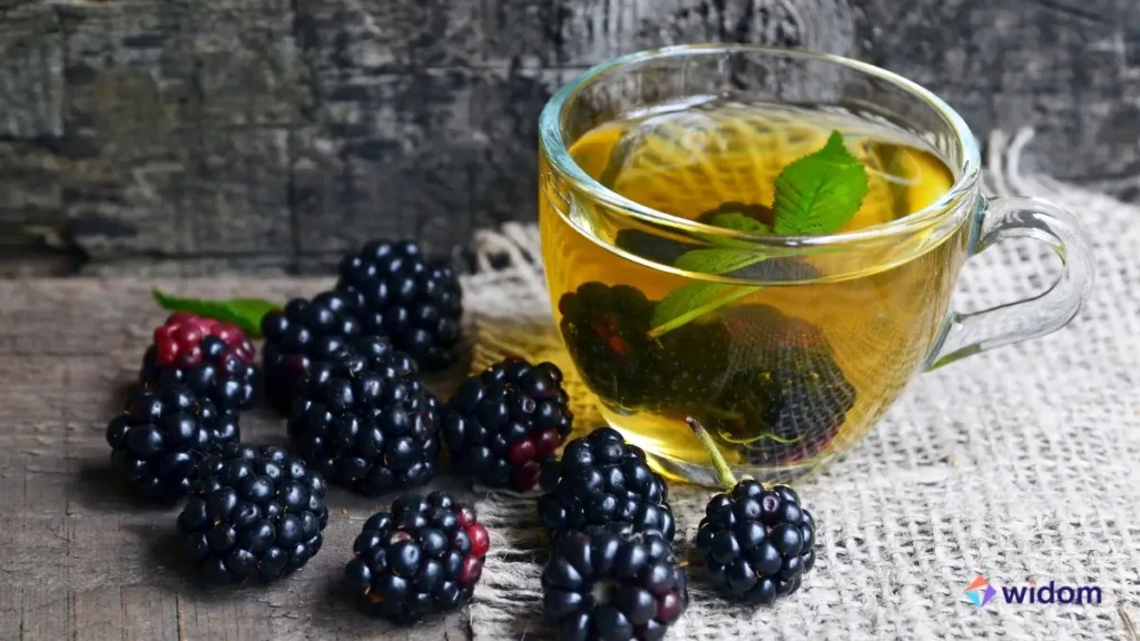 Chá de Amora serve Para Menopausa | Widom Fitoterapia e Saúde Natural