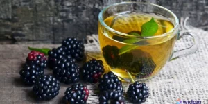 Chá de Amora serve Para Menopausa | Widom Fitoterapia e Saúde Natural