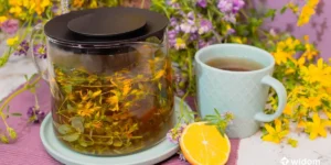 Efeitos Colaterais da Sertralina e Alternativa Natural Eficaz | Chá de Erva-de-São-João | Widom Fitoterapia e Plantas Medicinais