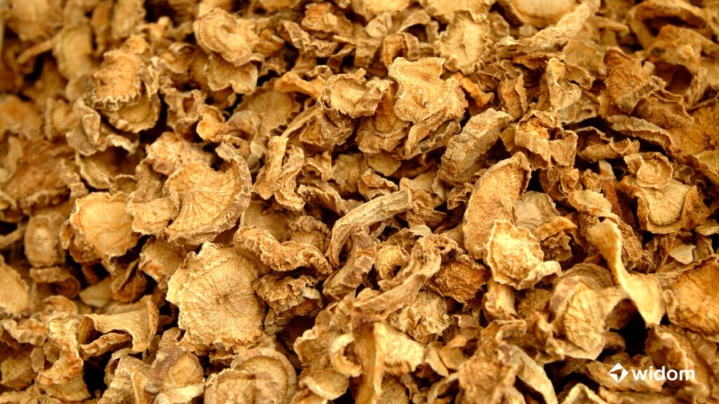 Remédio Caseiro Para Artrose | Chá de Raízes de Garra-do-Diabo | Widom Fitoterapia e Saúde Natural