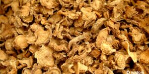 Remédio Caseiro Para Artrose | Chá de Raízes de Garra-do-Diabo | Widom Fitoterapia e Saúde Natural