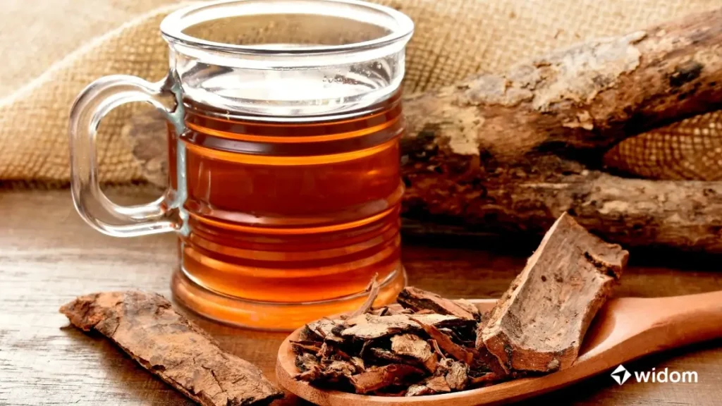 Remédio Caseiro Para Candidíase | Banho de Assento com Chá de Aroeira | Widom Fitoterapia e Saúde Natural