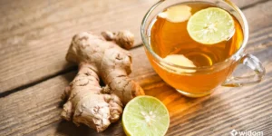 Remédio Caseiro Para Dor de Garganta | Chá de Gengibre, Mel e Limão | Widom Fitoterapia e Saúde Natural