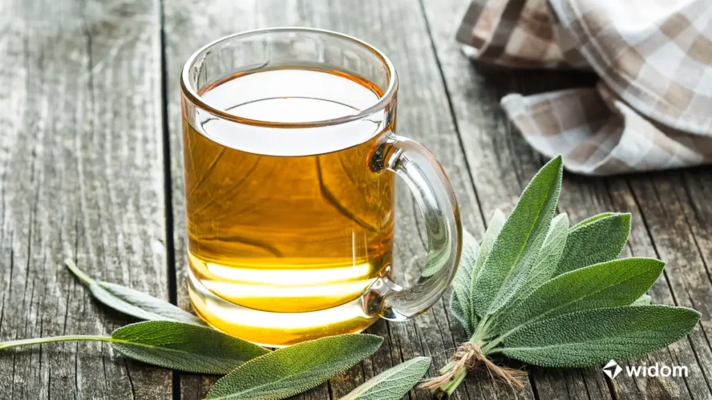 Remédio Natural Para Menopausa | Chá de Salvia e Amora | Widom Fitoterapia e Saúde Natural