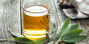 Remédio Natural Para Menopausa | Chá de Salvia e Amora | Widom Fitoterapia e Saúde Natural