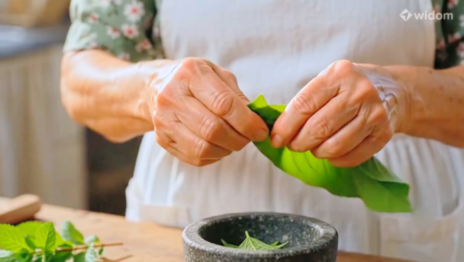 Curso de Fitoterapia e Plantas Medicinais | Widom | 04